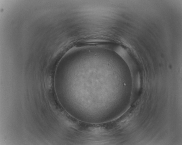 X0000063530689200601271901