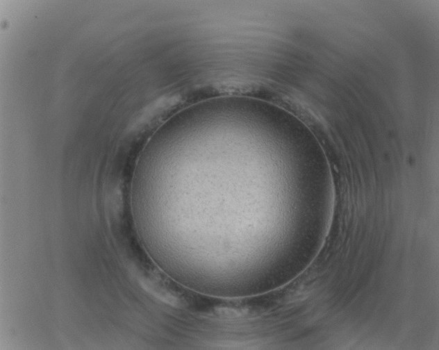 X0000063530690200601271901