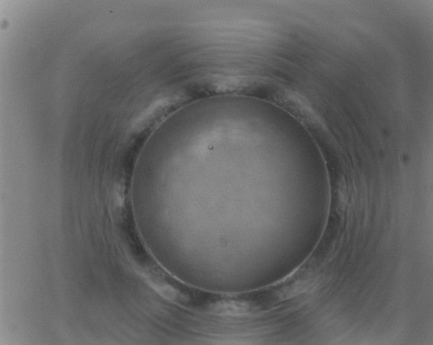 X0000063530691200601271901