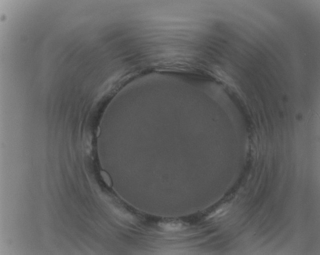 X0000063530693200601271901