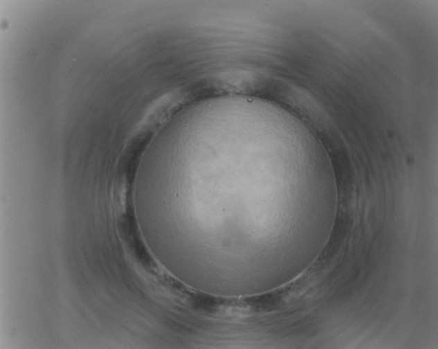 X0000063530694200601271901