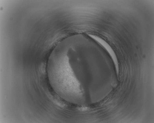 X0000063530695200601271901