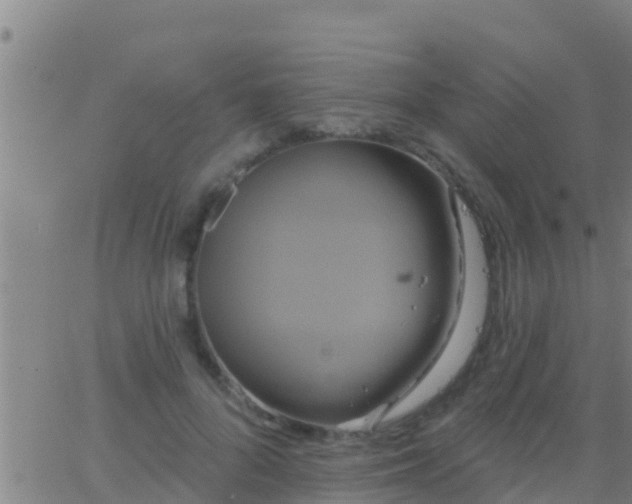 X0000063530696200601271901