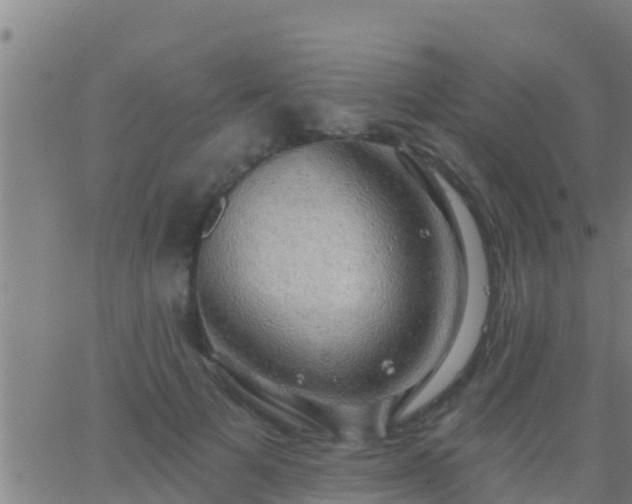 X0000063530697200601271901