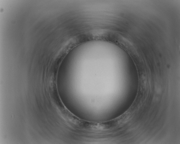 X0000063530698200601271901