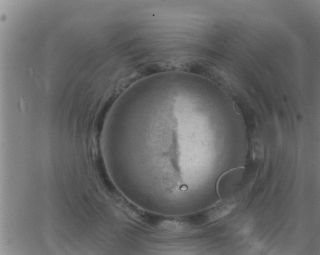 X0000063530699200601271901