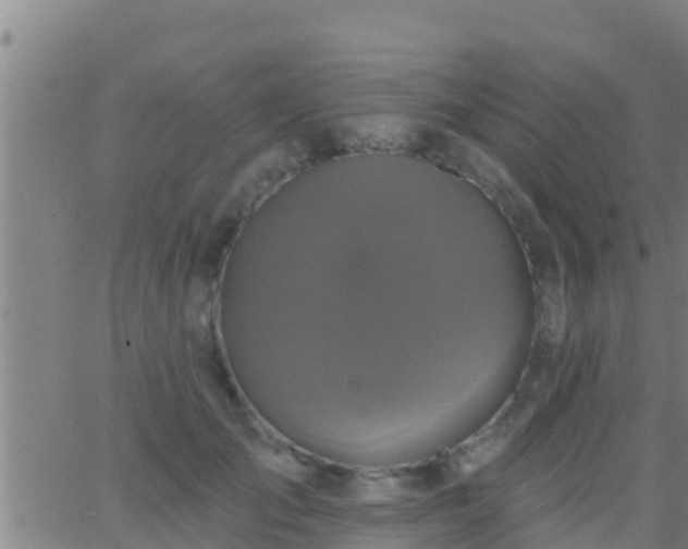 X0000063530701200601271901