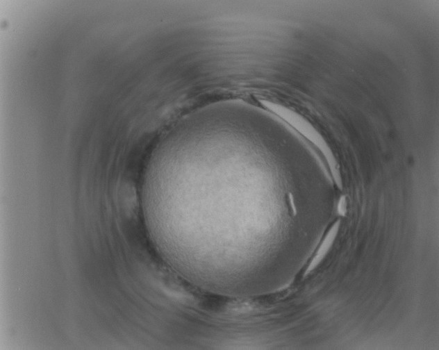 X0000063530704200601271901