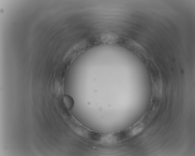 X0000063530705200601271901