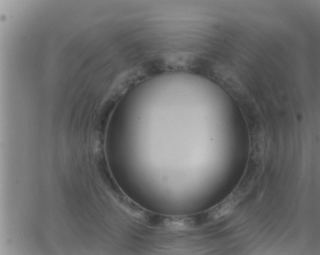 X0000063530706200601271901