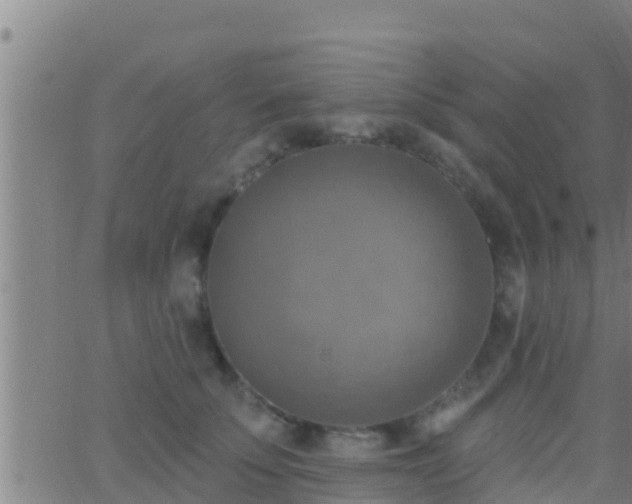 X0000063530707200601271901