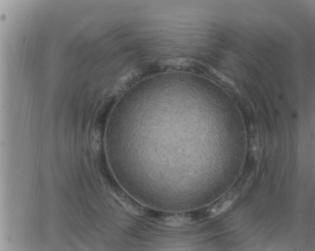 X0000063530708200601271901