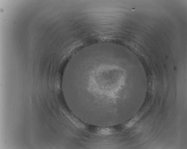 X0000063530710200601271901