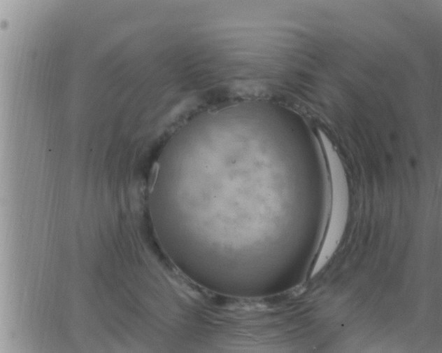 X0000063530712200601271901