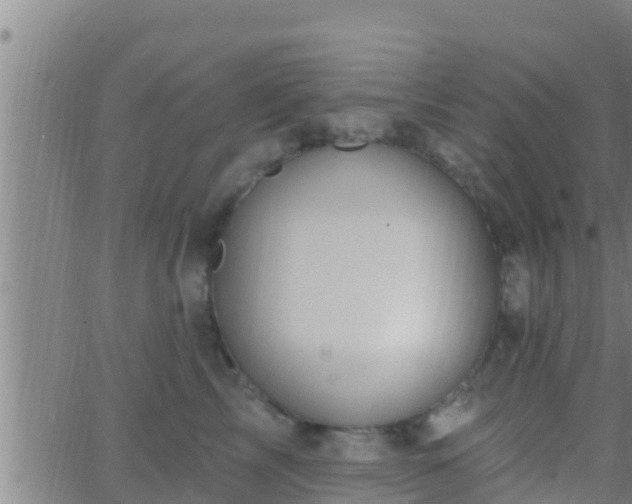 X0000063530713200601271901