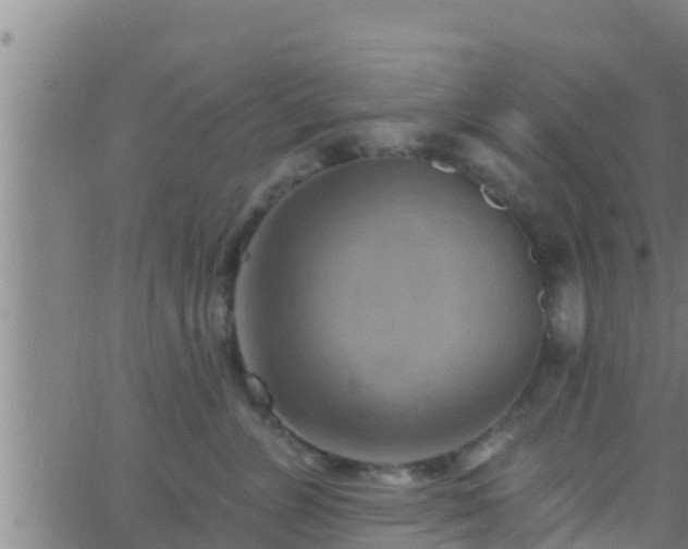 X0000063530715200601271901