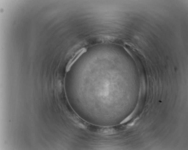 X0000063530716200601271901