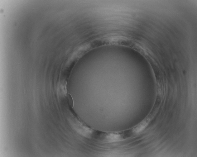 X0000063530718200601271901