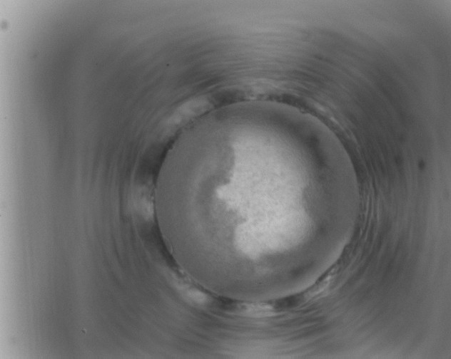 X0000063530719200601271901