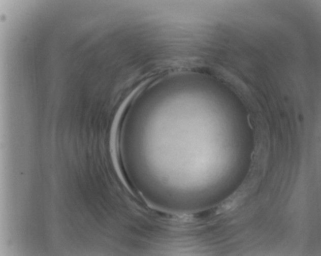 X0000063530720200601271901