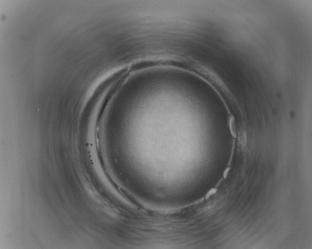 X0000063530724200601271900