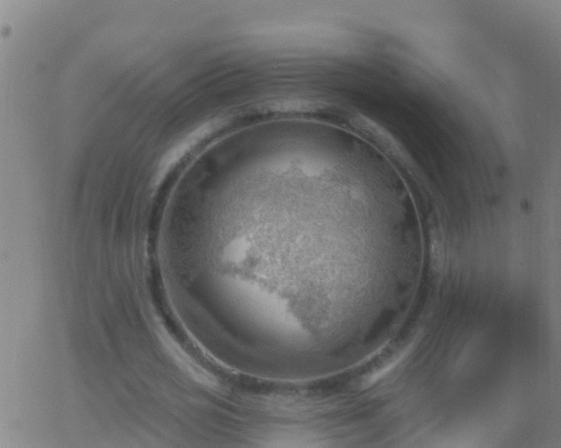 X0000063530725200601271900