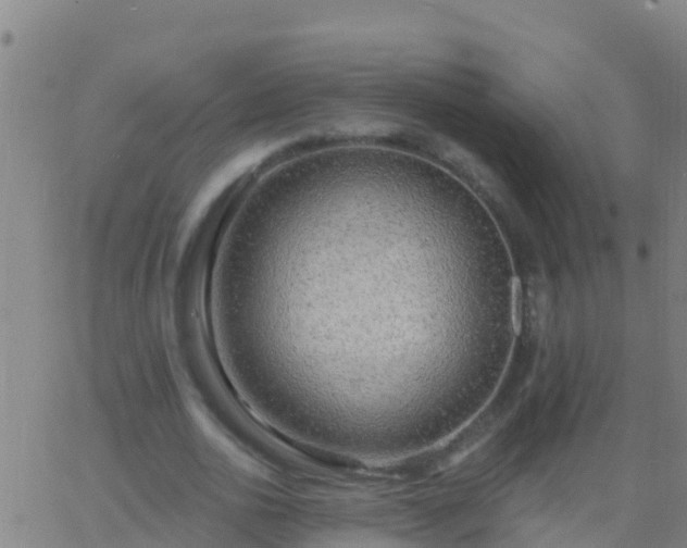 X0000063530726200601271900