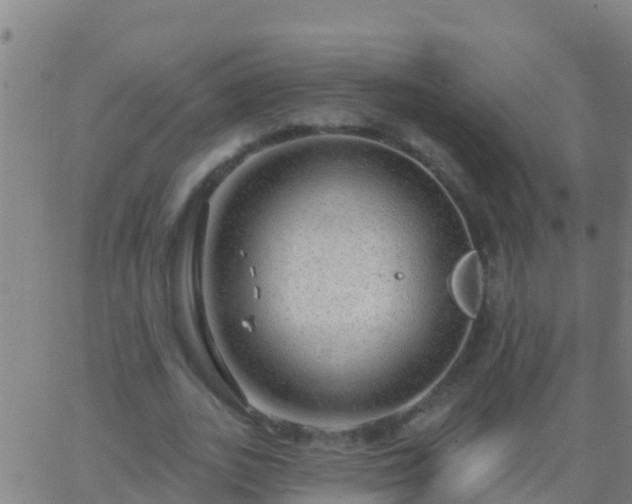 X0000063530727200601271900