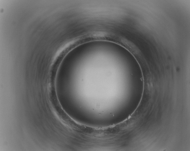 X0000063530728200601271900