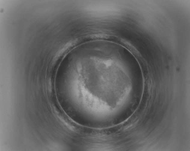 X0000063530729200601271900