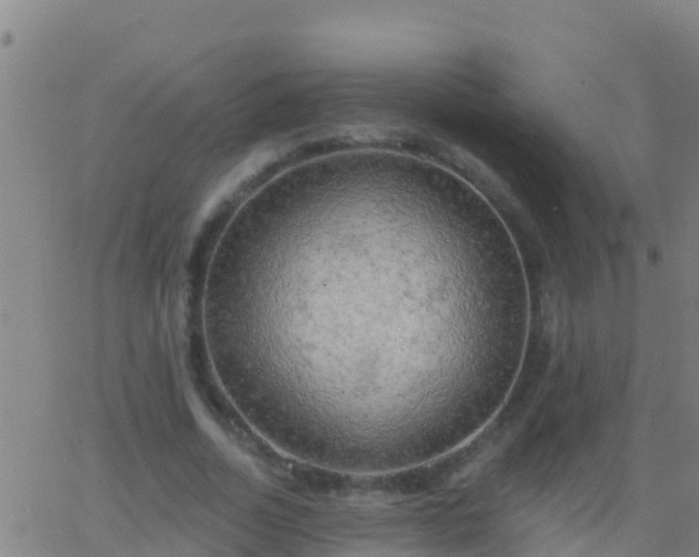 X0000063530730200601271900