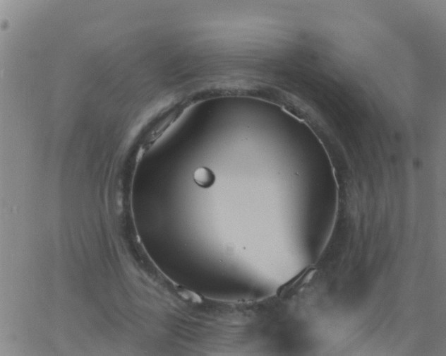 X0000063530731200601271900