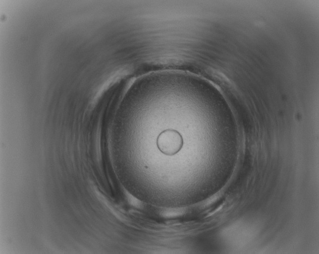 X0000063530735200601271900