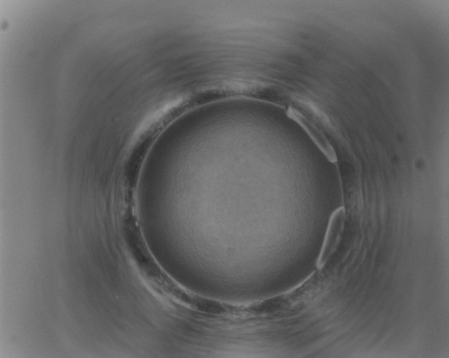 X0000063530736200601271900