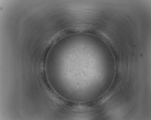 X0000063530737200601271900