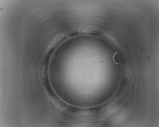 X0000063530738200601271900