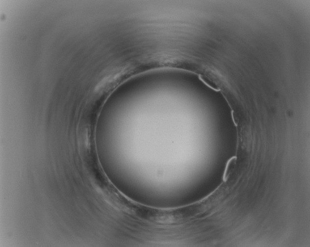 X0000063530740200601271900