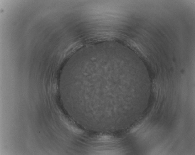 X0000063530741200601271900