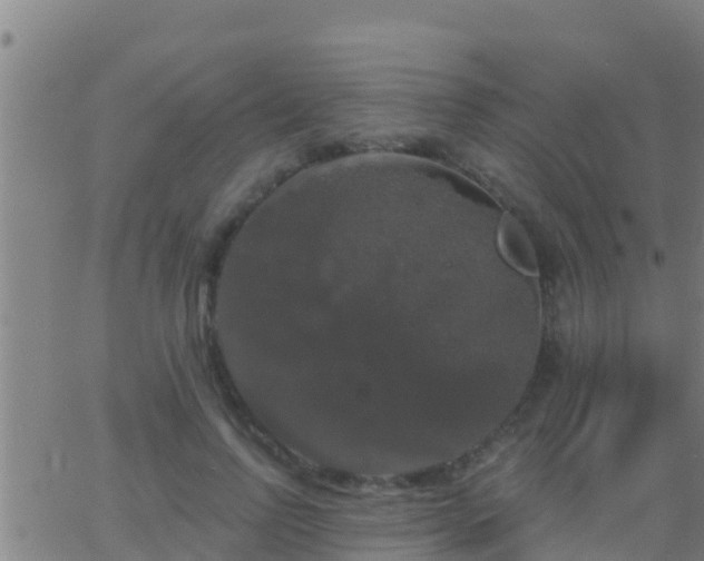 X0000063530742200601271900