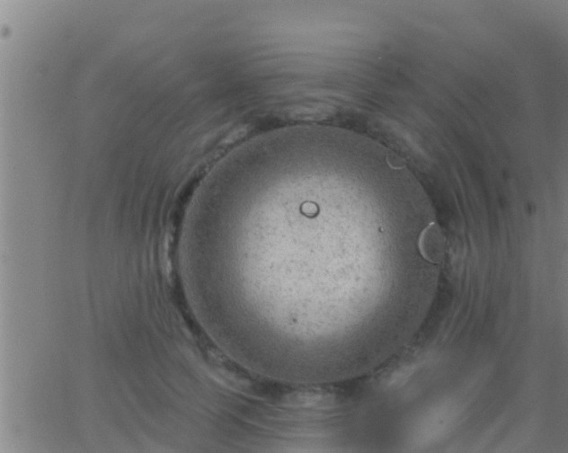 X0000063530745200601271900