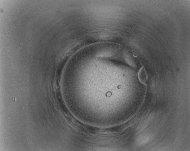 X0000063530746200601271900