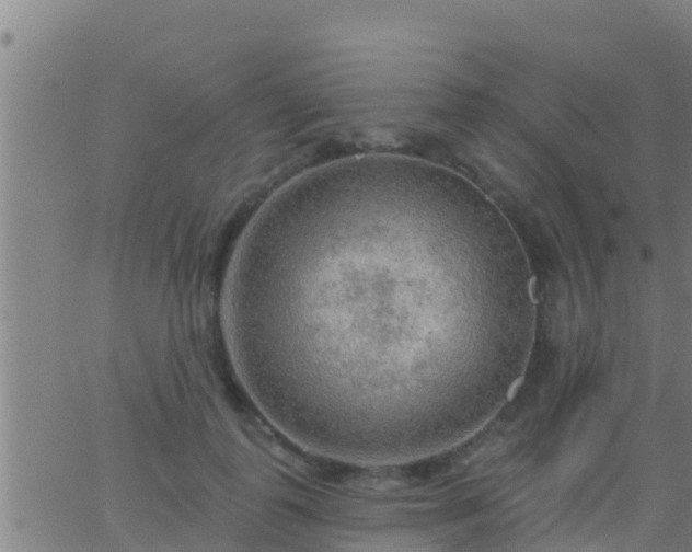 X0000063530747200601271900