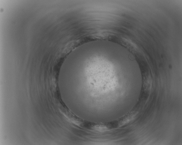 X0000063530749200601271900