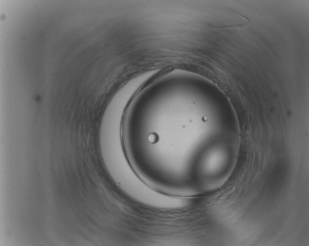 X0000063530750200601271900