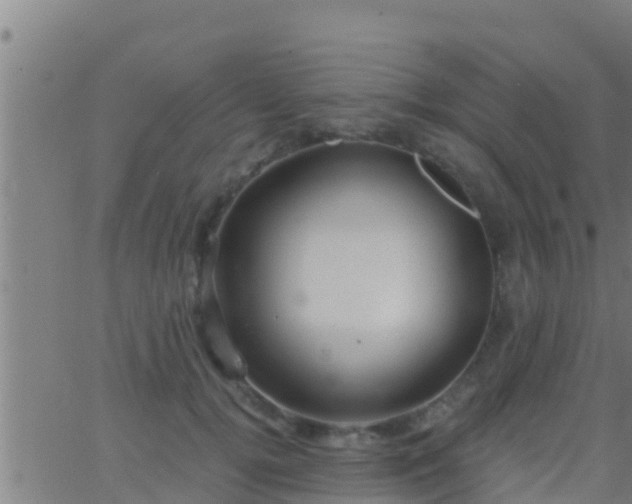 X0000063530752200601271901