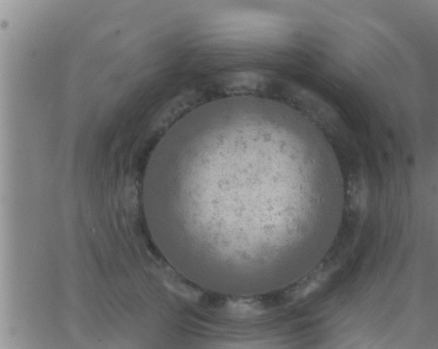 X0000063530753200601271901