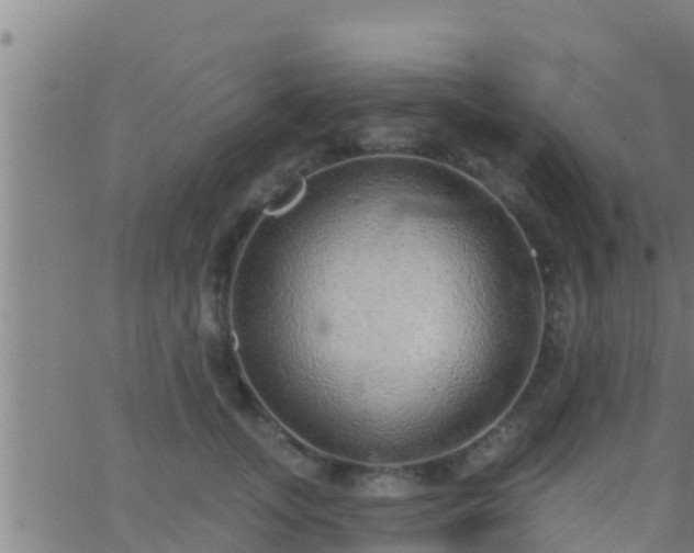 X0000063530755200601271901