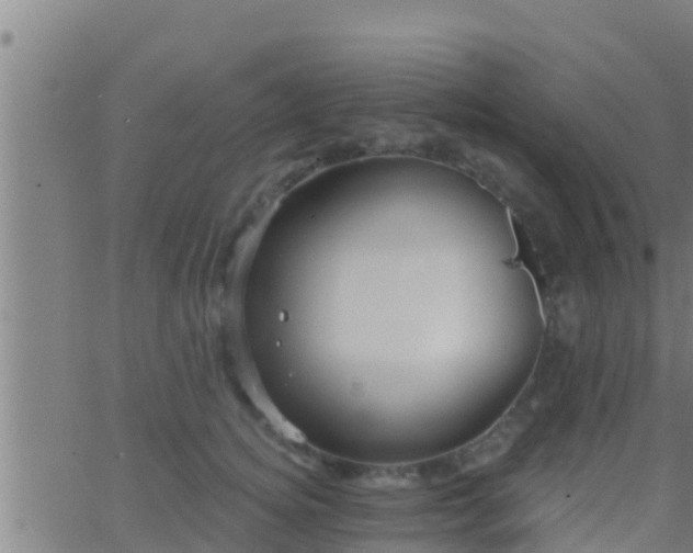 X0000063530756200601271901