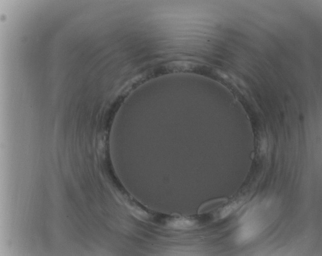 X0000063530759200601271901