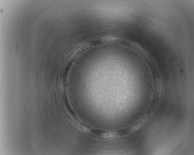 X0000063530761200601271901